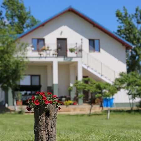 Pensiunea Palaghia Hotel Jurilovca Exterior photo