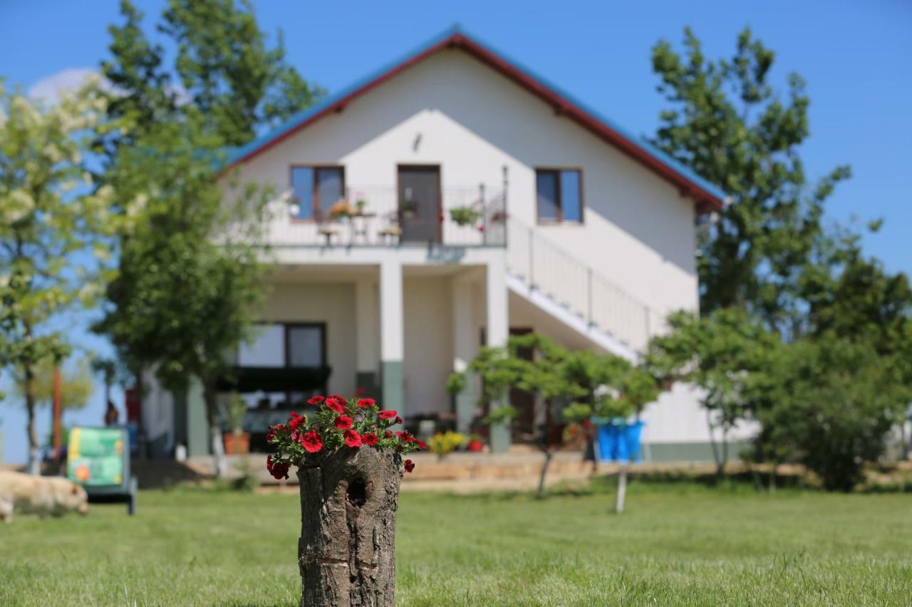 Pensiunea Palaghia Hotel Jurilovca Exterior photo