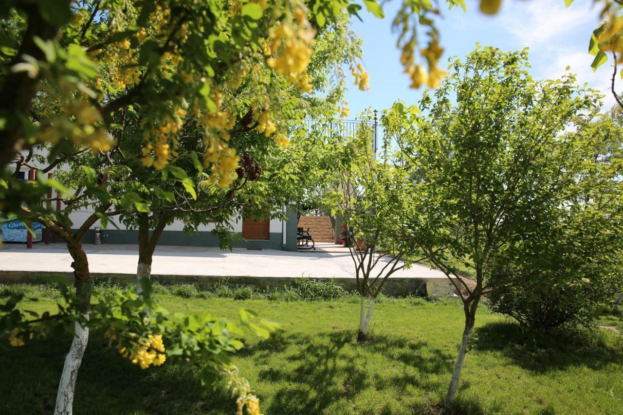 Pensiunea Palaghia Jurilovca Exterior photo